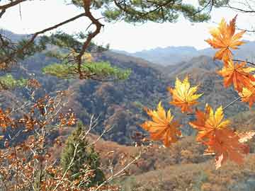 中天策略：1月17日市場分析